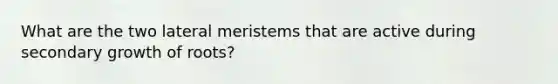 What are the two lateral meristems that are active during <a href='https://www.questionai.com/knowledge/kLpwK66k9O-secondary-growth-of-roots' class='anchor-knowledge'>secondary growth of roots</a>?