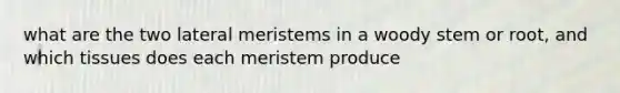 what are the two lateral meristems in a woody stem or root, and which tissues does each meristem produce