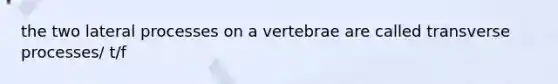 the two lateral processes on a vertebrae are called transverse processes/ t/f