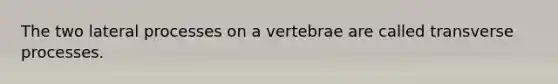 The two lateral processes on a vertebrae are called transverse processes.