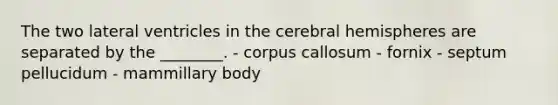 The two lateral ventricles in the cerebral hemispheres are separated by the ________. - corpus callosum - fornix - septum pellucidum - mammillary body