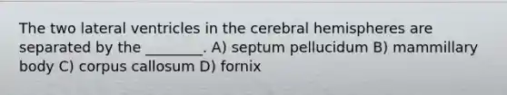 The two lateral ventricles in the cerebral hemispheres are separated by the ________. A) septum pellucidum B) mammillary body C) corpus callosum D) fornix