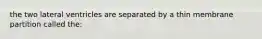 the two lateral ventricles are separated by a thin membrane partition called the: