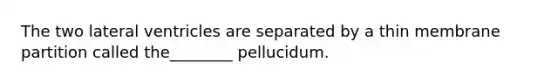 The two lateral ventricles are separated by a thin membrane partition called the________ pellucidum.