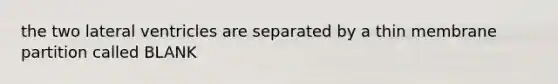 the two lateral ventricles are separated by a thin membrane partition called BLANK