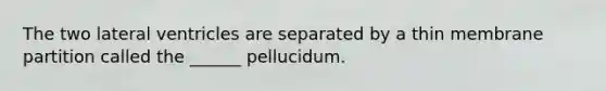 The two lateral ventricles are separated by a thin membrane partition called the ______ pellucidum.