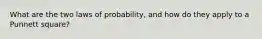 What are the two laws of probability, and how do they apply to a Punnett square?