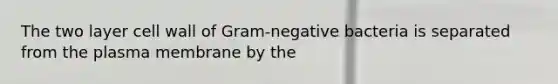 The two layer cell wall of Gram-negative bacteria is separated from the plasma membrane by the