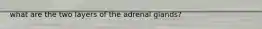 what are the two layers of the adrenal glands?