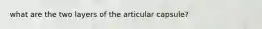 what are the two layers of the articular capsule?