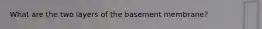 What are the two layers of the basement membrane?