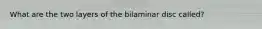 What are the two layers of the bilaminar disc called?