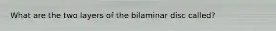 What are the two layers of the bilaminar disc called?