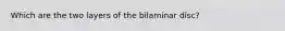 Which are the two layers of the bilaminar disc?