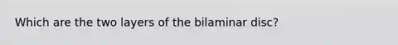 Which are the two layers of the bilaminar disc?