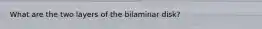 What are the two layers of the bilaminar disk?