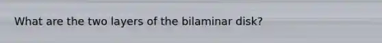 What are the two layers of the bilaminar disk?