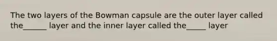 The two layers of the Bowman capsule are the outer layer called the______ layer and the inner layer called the_____ layer