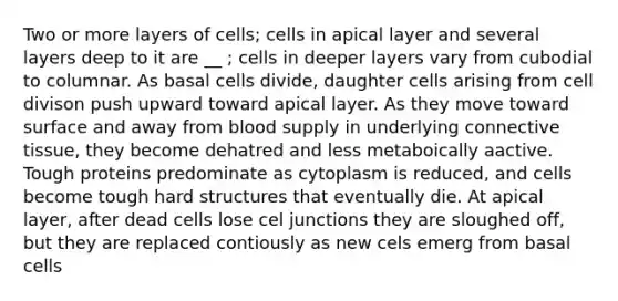 Two or more layers of cells; cells in apical layer and several layers deep to it are __ ; cells in deeper layers vary from cubodial to columnar. As basal cells divide, daughter cells arising from cell divison push upward toward apical layer. As they move toward surface and away from blood supply in underlying connective tissue, they become dehatred and less metaboically aactive. Tough proteins predominate as cytoplasm is reduced, and cells become tough hard structures that eventually die. At apical layer, after dead cells lose cel junctions they are sloughed off, but they are replaced contiously as new cels emerg from basal cells