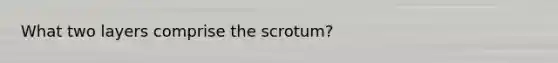 What two layers comprise the scrotum?