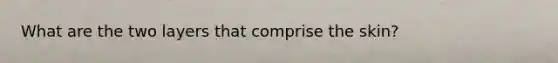 What are the two layers that comprise the skin?