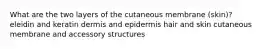 What are the two layers of the cutaneous membrane (skin)? eleidin and keratin dermis and epidermis hair and skin cutaneous membrane and accessory structures