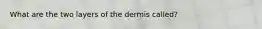 What are the two layers of the dermis called?