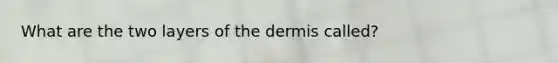 What are the two layers of the dermis called?