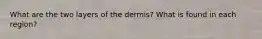 What are the two layers of the dermis? What is found in each region?