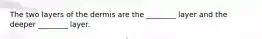 The two layers of the dermis are the ________ layer and the deeper ________ layer.