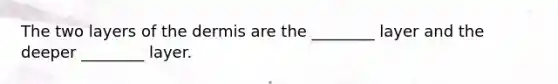 The two layers of the dermis are the ________ layer and the deeper ________ layer.