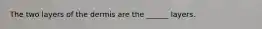 The two layers of the dermis are the ______ layers.