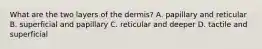 What are the two layers of the dermis? A. papillary and reticular B. superficial and papillary C. reticular and deeper D. tactile and superficial