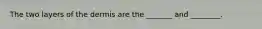 The two layers of the dermis are the _______ and ________.