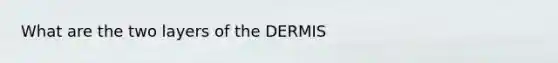 What are the two layers of the DERMIS