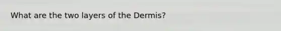 What are the two layers of the Dermis?