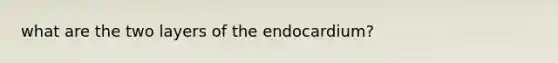 what are the two layers of the endocardium?