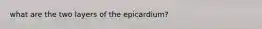 what are the two layers of the epicardium?