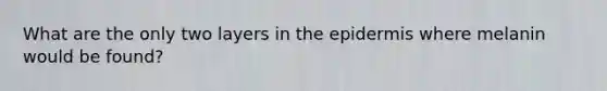 What are the only two layers in the epidermis where melanin would be found?