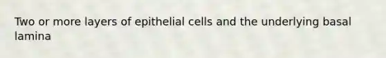 Two or more layers of epithelial cells and the underlying basal lamina