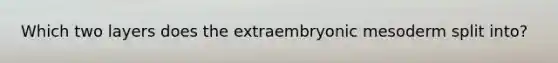 Which two layers does the extraembryonic mesoderm split into?