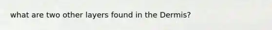 what are two other layers found in the Dermis?
