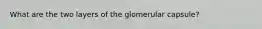 What are the two layers of the glomerular capsule?