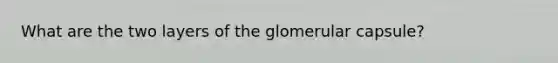 What are the two layers of the glomerular capsule?