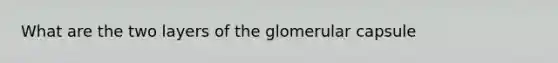 What are the two layers of the glomerular capsule