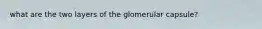 what are the two layers of the glomerular capsule?