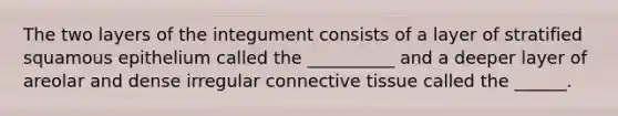 The two layers of the integument consists of a layer of stratified squamous epithelium called the __________ and a deeper layer of areolar and dense irregular connective tissue called the ______.