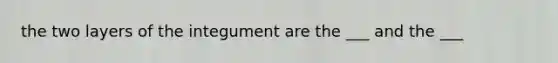 the two layers of the integument are the ___ and the ___