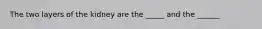 The two layers of the kidney are the _____ and the ______