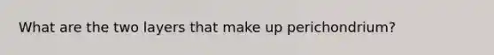 What are the two layers that make up perichondrium?